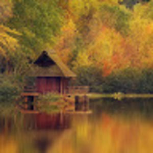 Meet your Posher, Donald